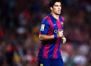 开云棋牌APP-澳网碾压ATP总决赛，穆雷状态火热，重塑网坛格局