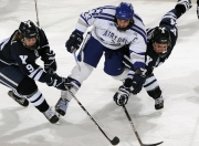 开云官网-绝杀时刻的两种温度，纽约的疯狂与北京的惊叹