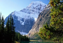 开云棋牌平台-关于老瓦勒失误频频，连续比赛难以找到胜利的信息