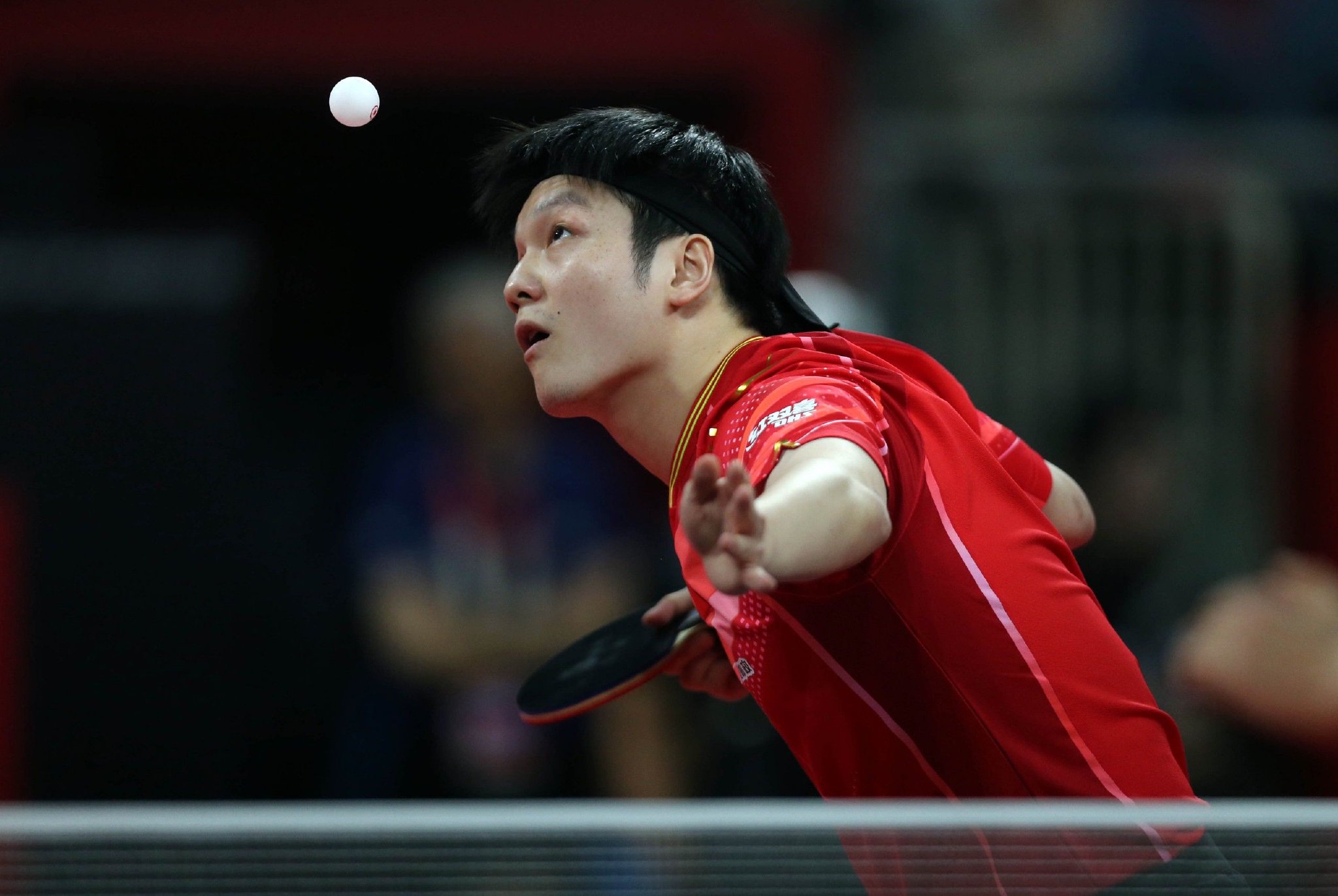 奥地利乒乓球队强势波兰乒乓球队，樊振东高光表现的简单介绍